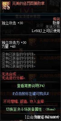 自己玩私服dnf 自己玩私服dnf